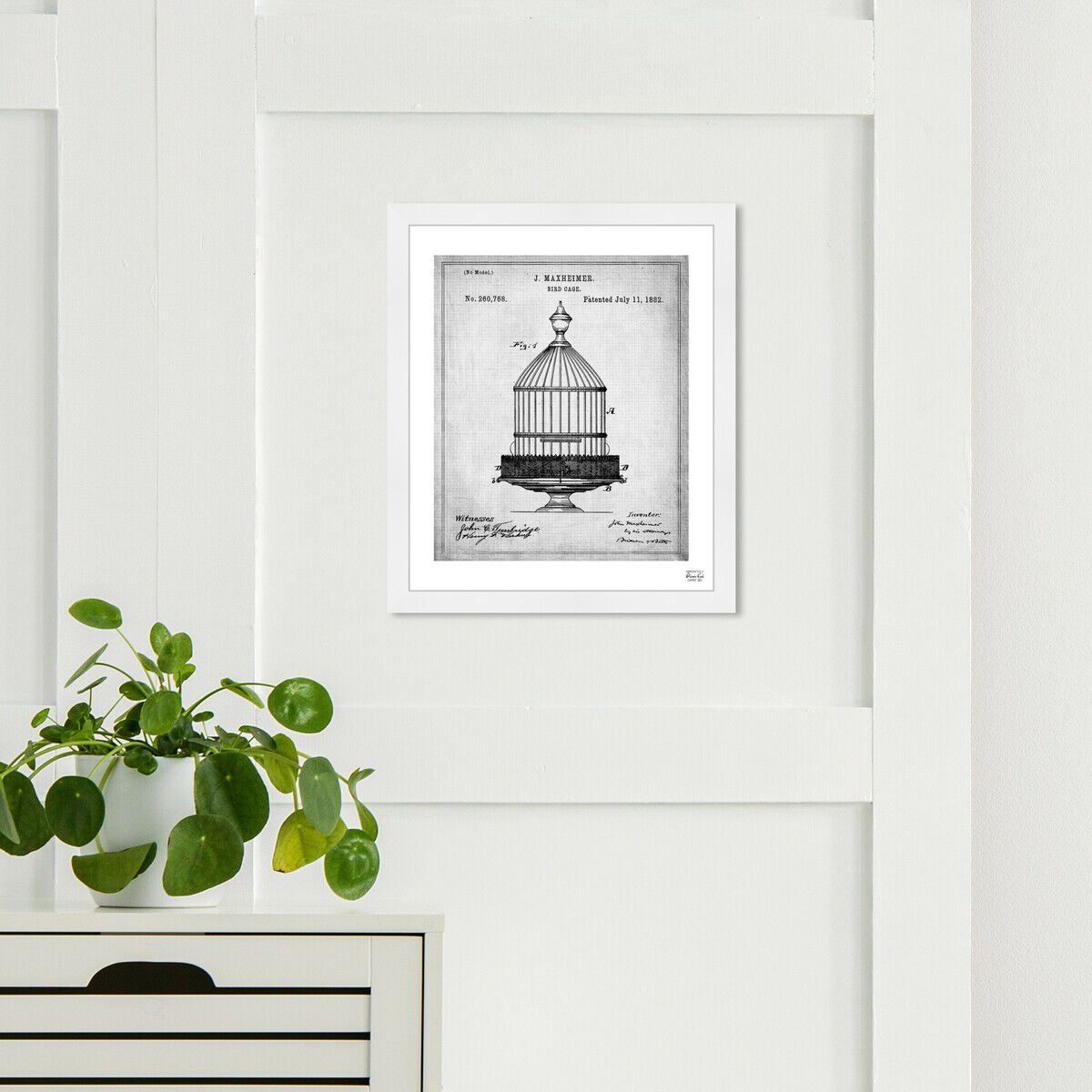 Bird Cage 1882