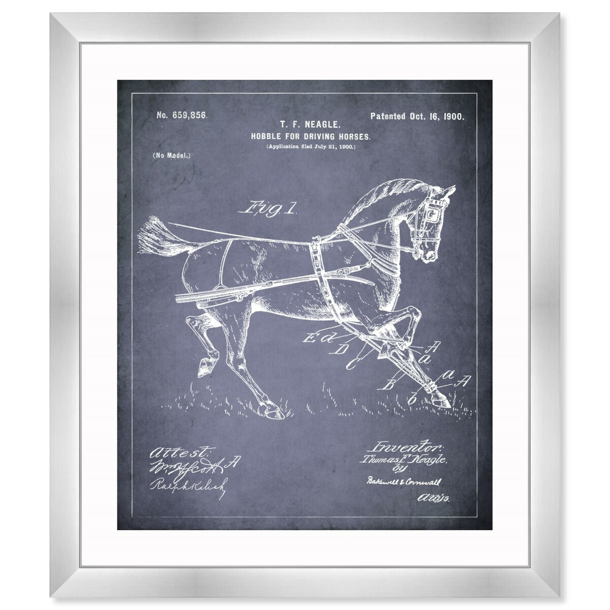 Horse Hobble 1900