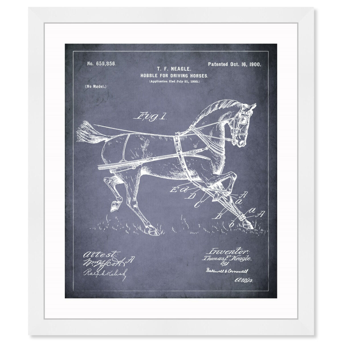 Horse Hobble 1900