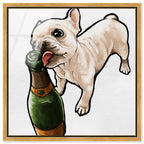 Frenchie and Bubbly