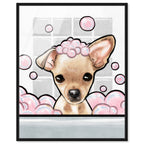 Bubbly Personality Chihuahua