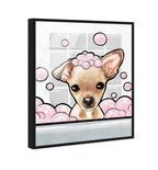 Bubbly Personality Chihuahua