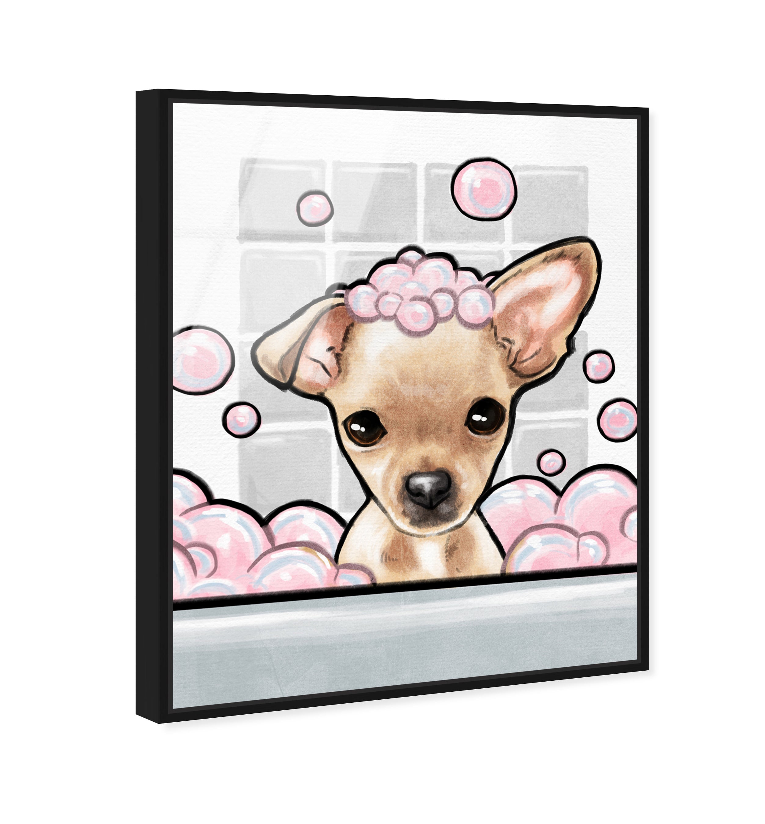 Bubbly Personality Chihuahua