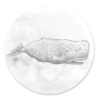Blue Whale