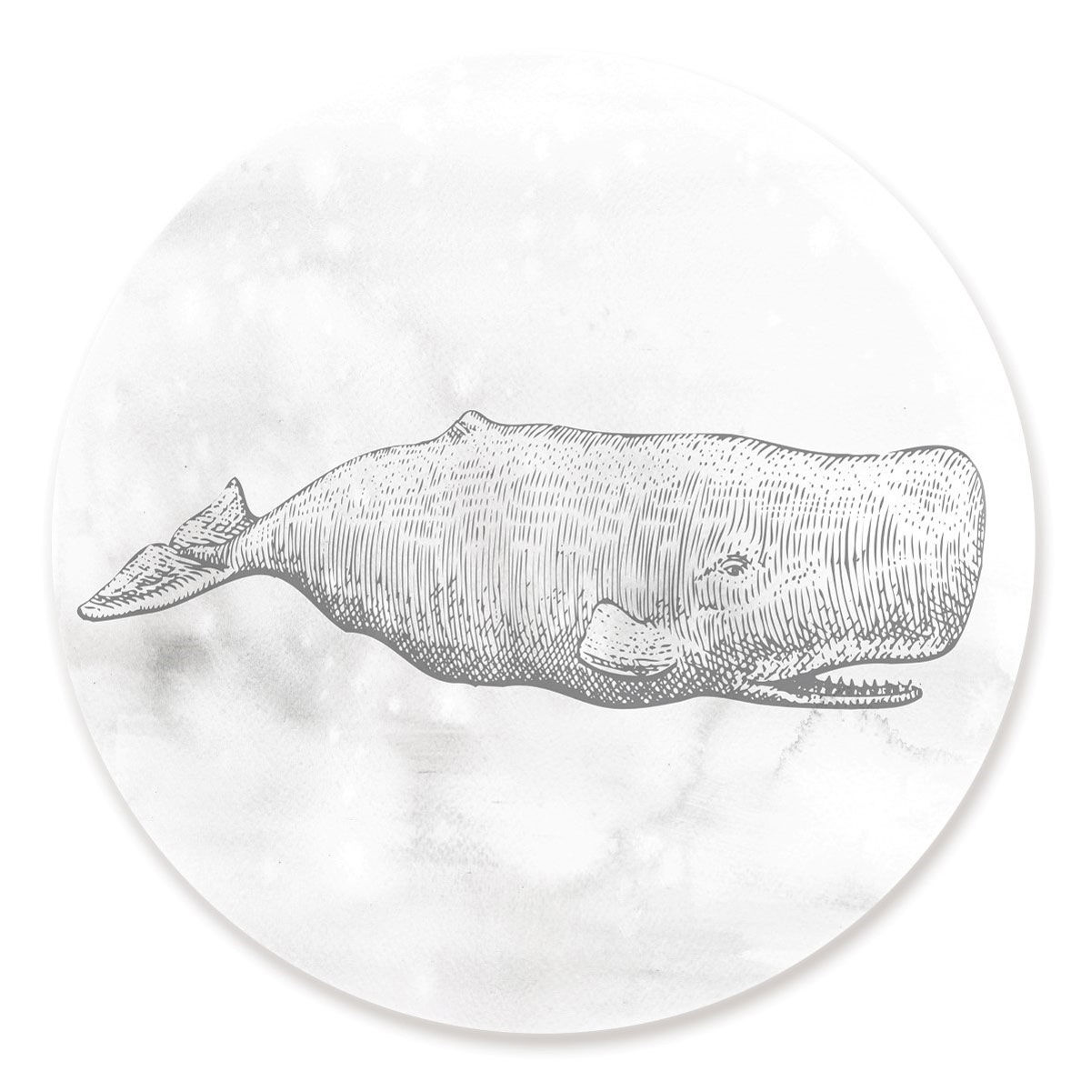 Blue Whale