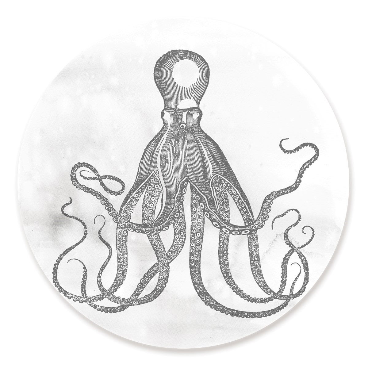 Octopus Circle Main image