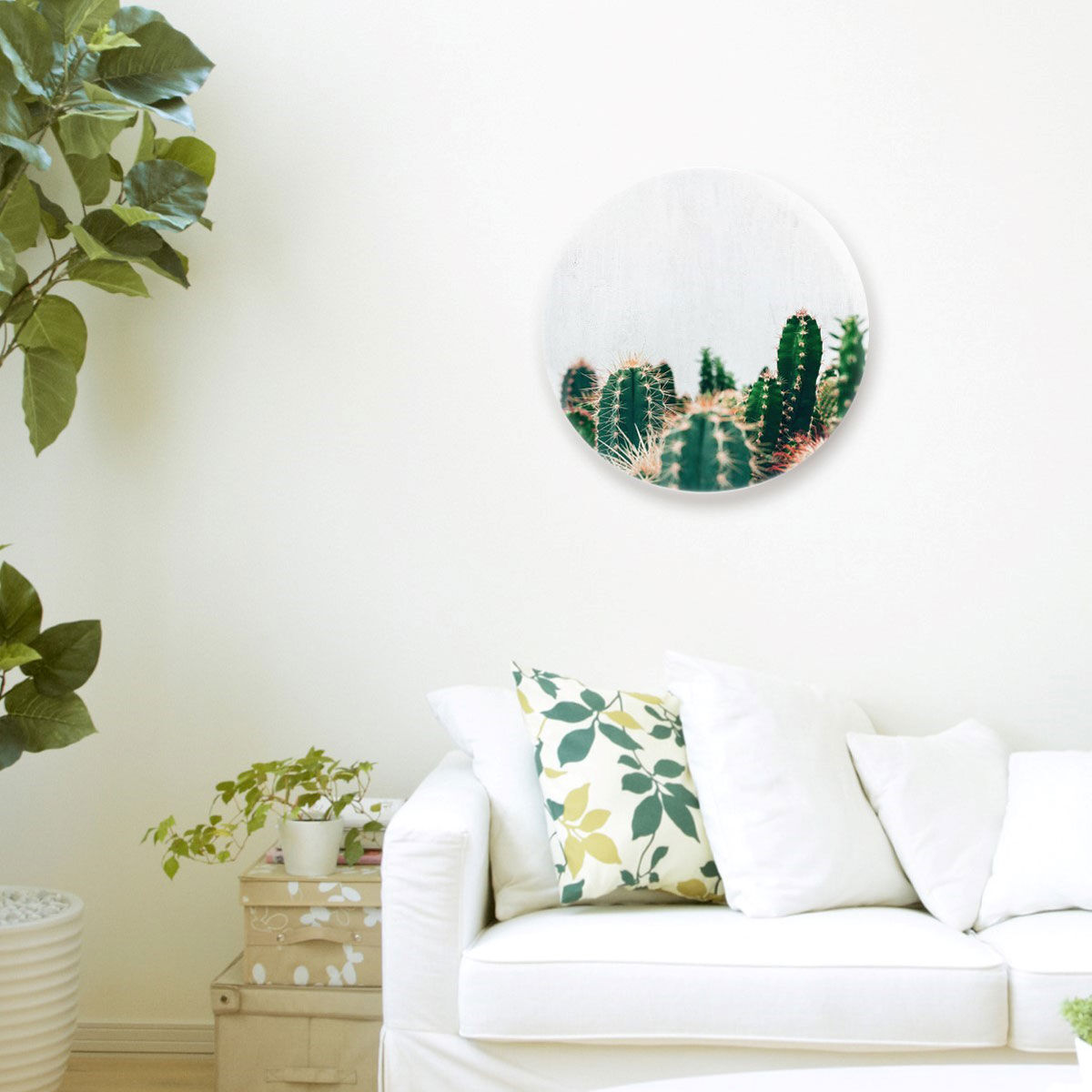 Cactus Family Circle