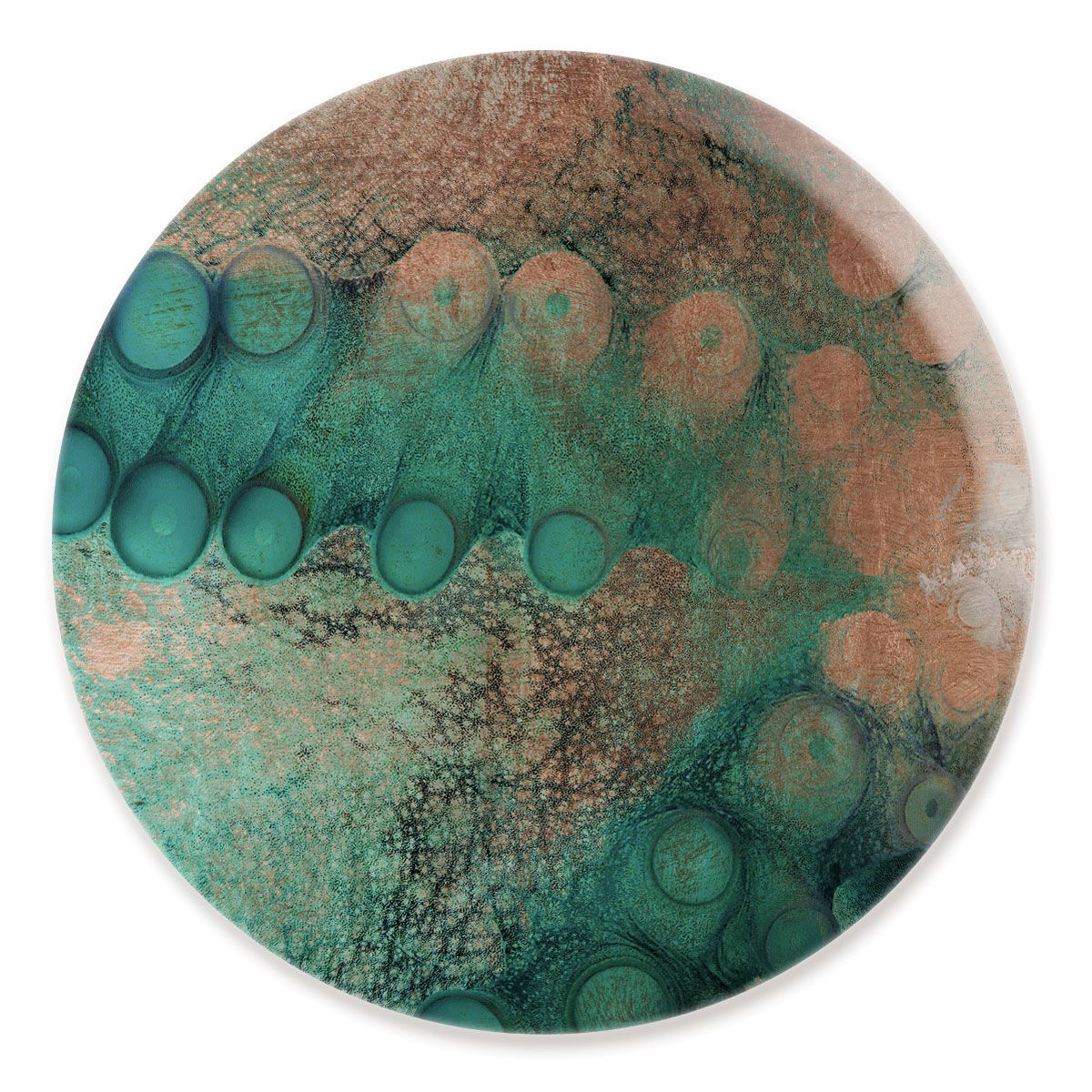 Day Octopus Round by David Fleetham Main image