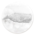 Blue Whale Silver Circle