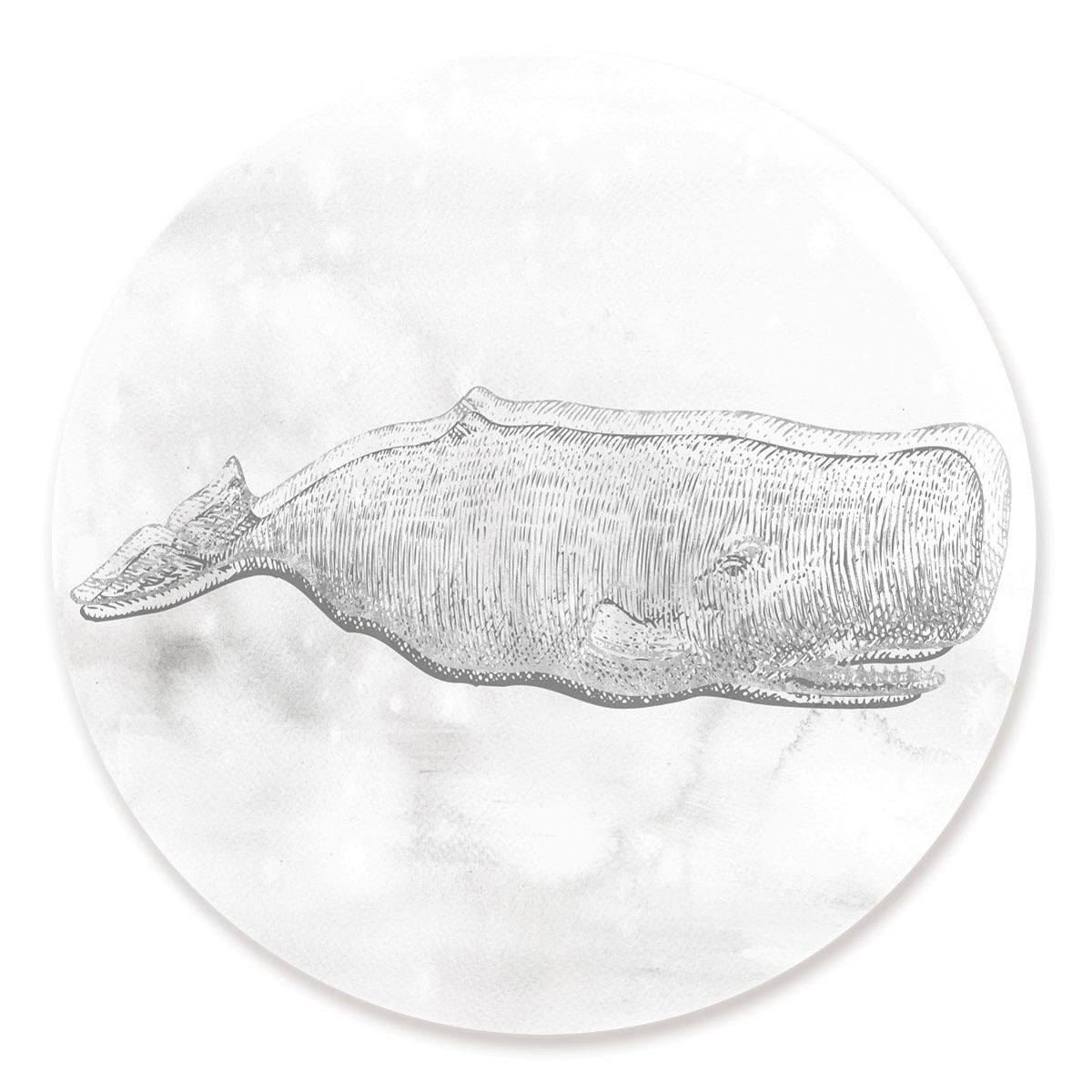 Blue Whale Silver Circle
