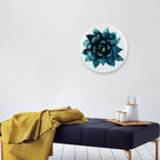 Suculent Circle