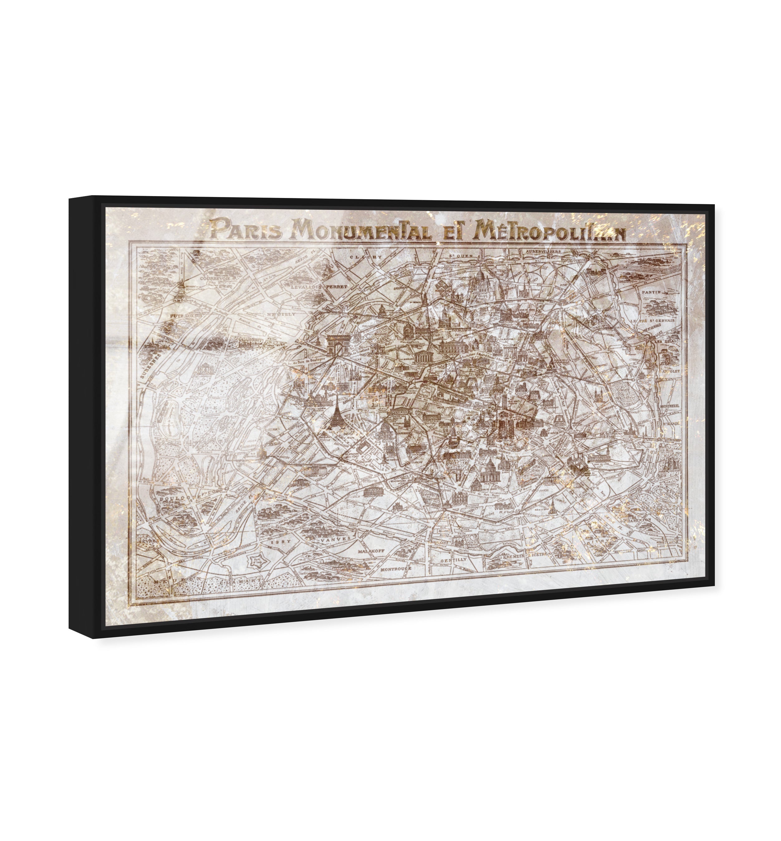 Dusty Gold Paris Map