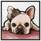 Royal Frenchie