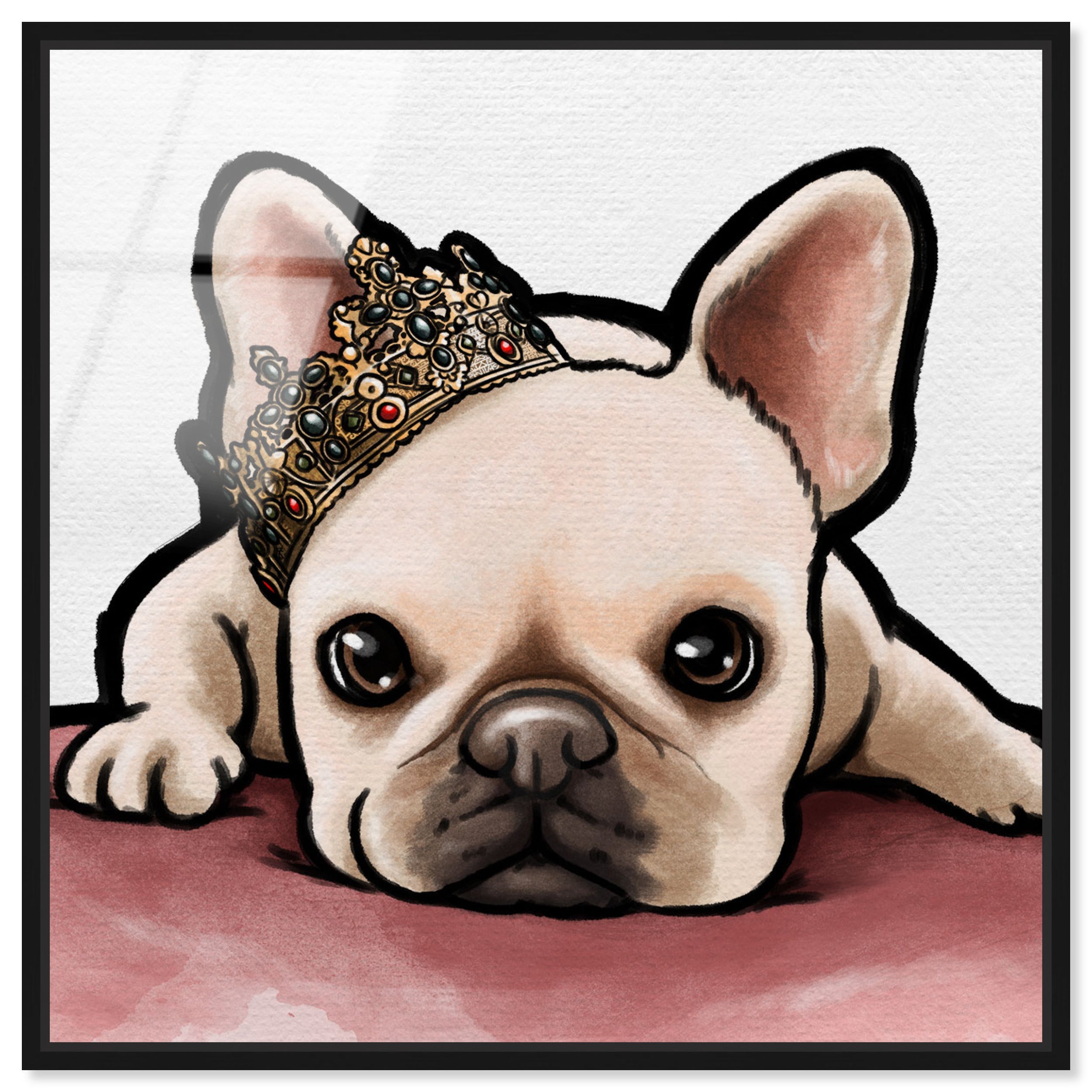 Royal Frenchie