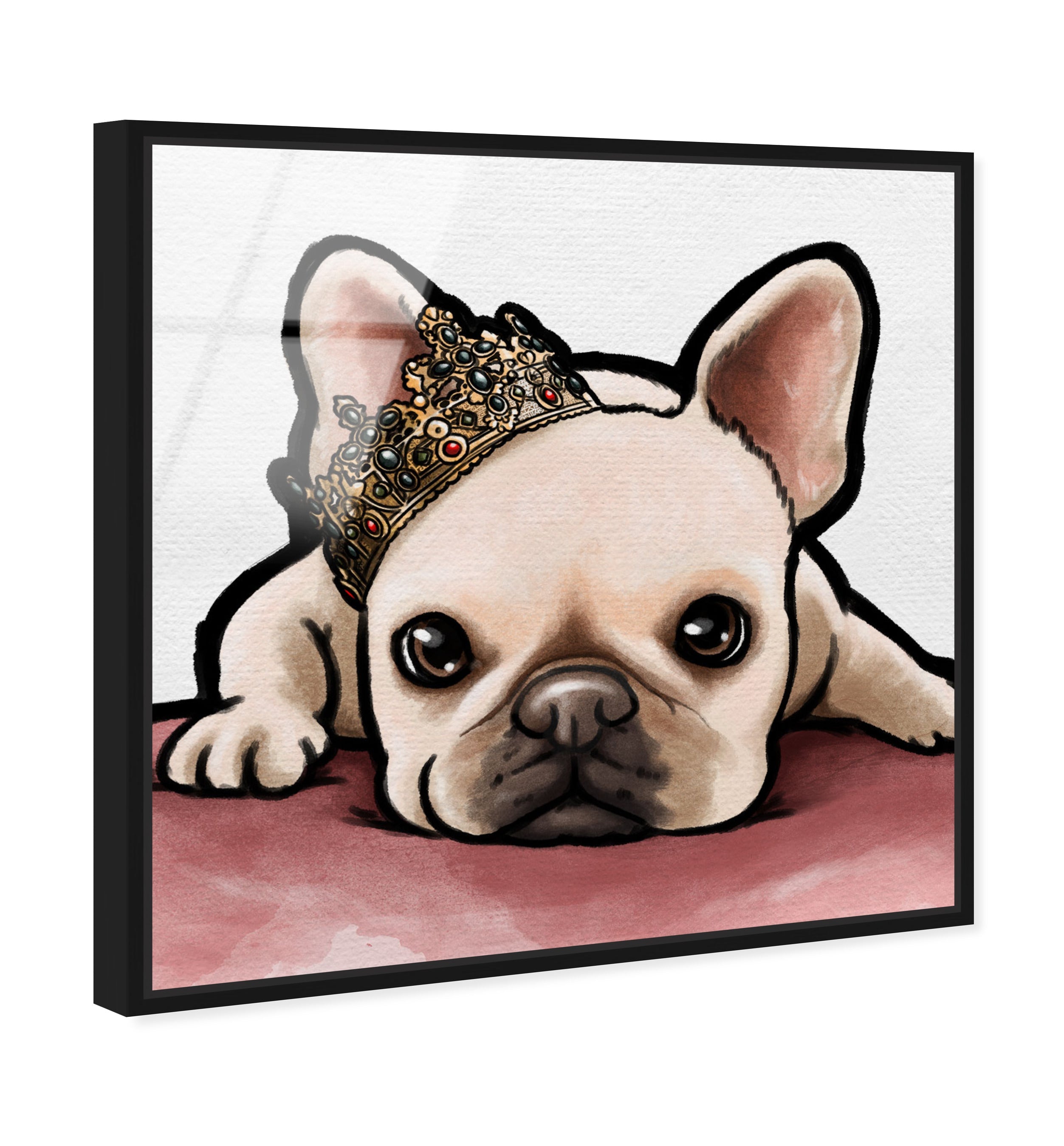 Royal Frenchie