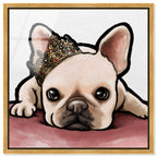 Royal Frenchie