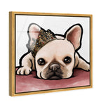 Royal Frenchie