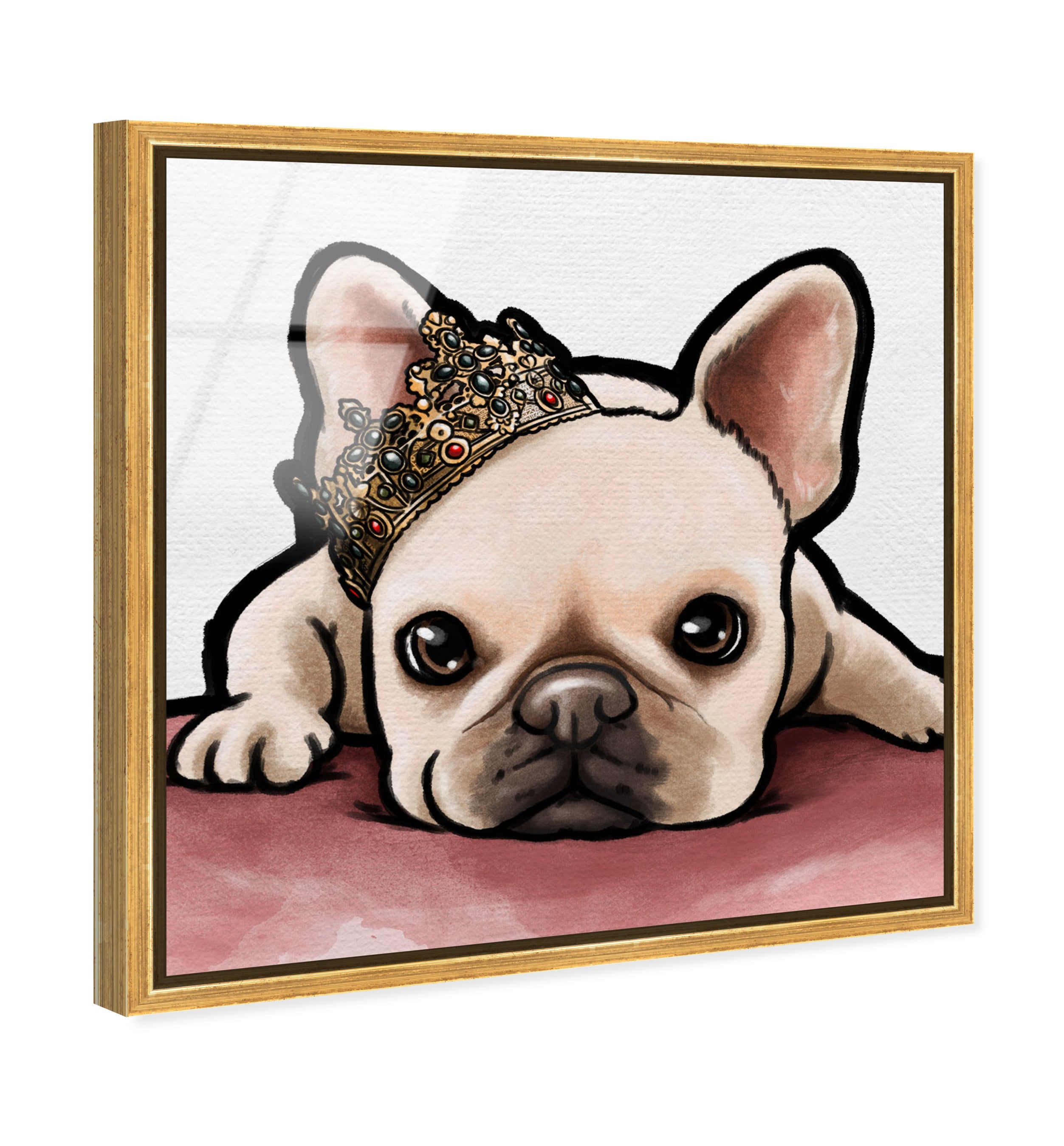 Royal Frenchie