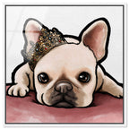 Royal Frenchie