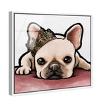 Royal Frenchie