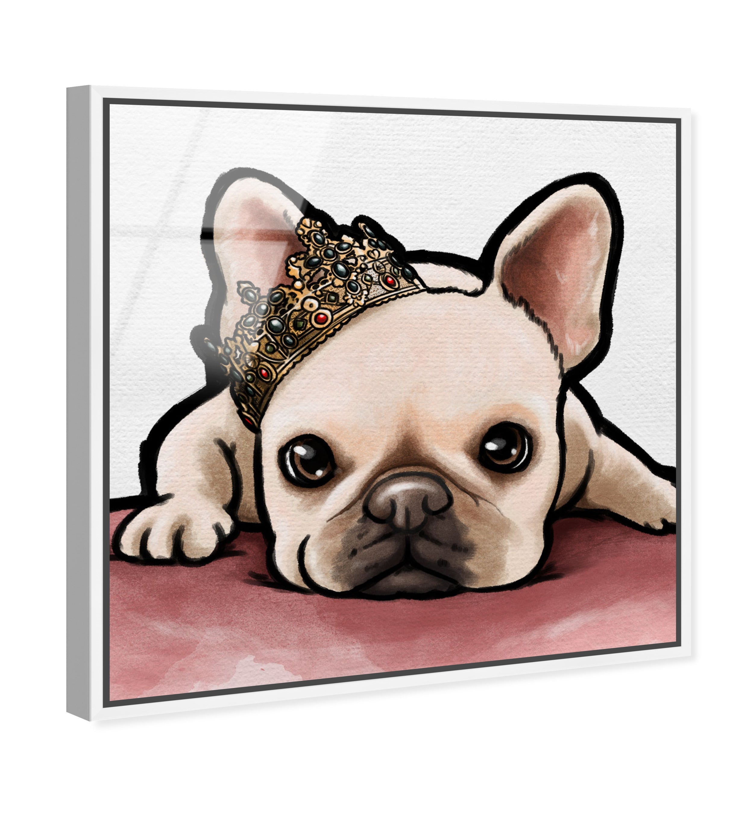 Royal Frenchie