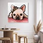 Royal Frenchie