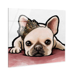 Royal Frenchie