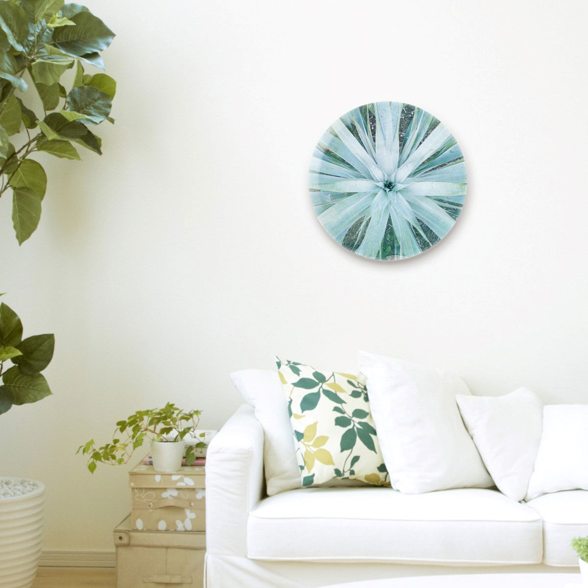 Plant Flower Round