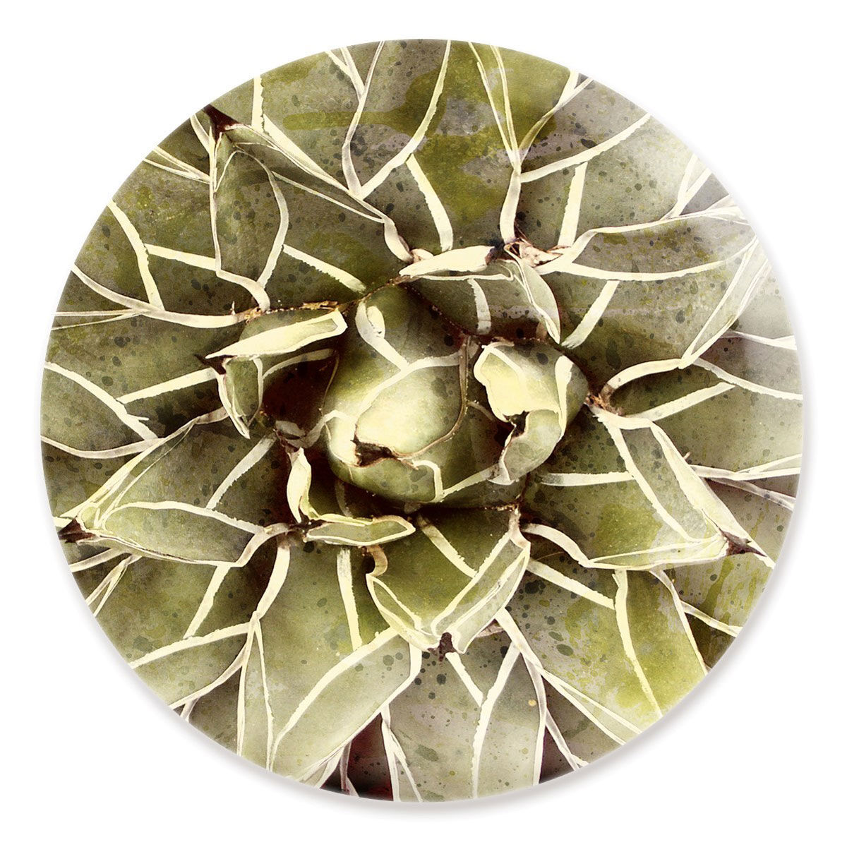 Cactus Flower Round Main image
