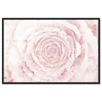 Blush Winter Flower Pink