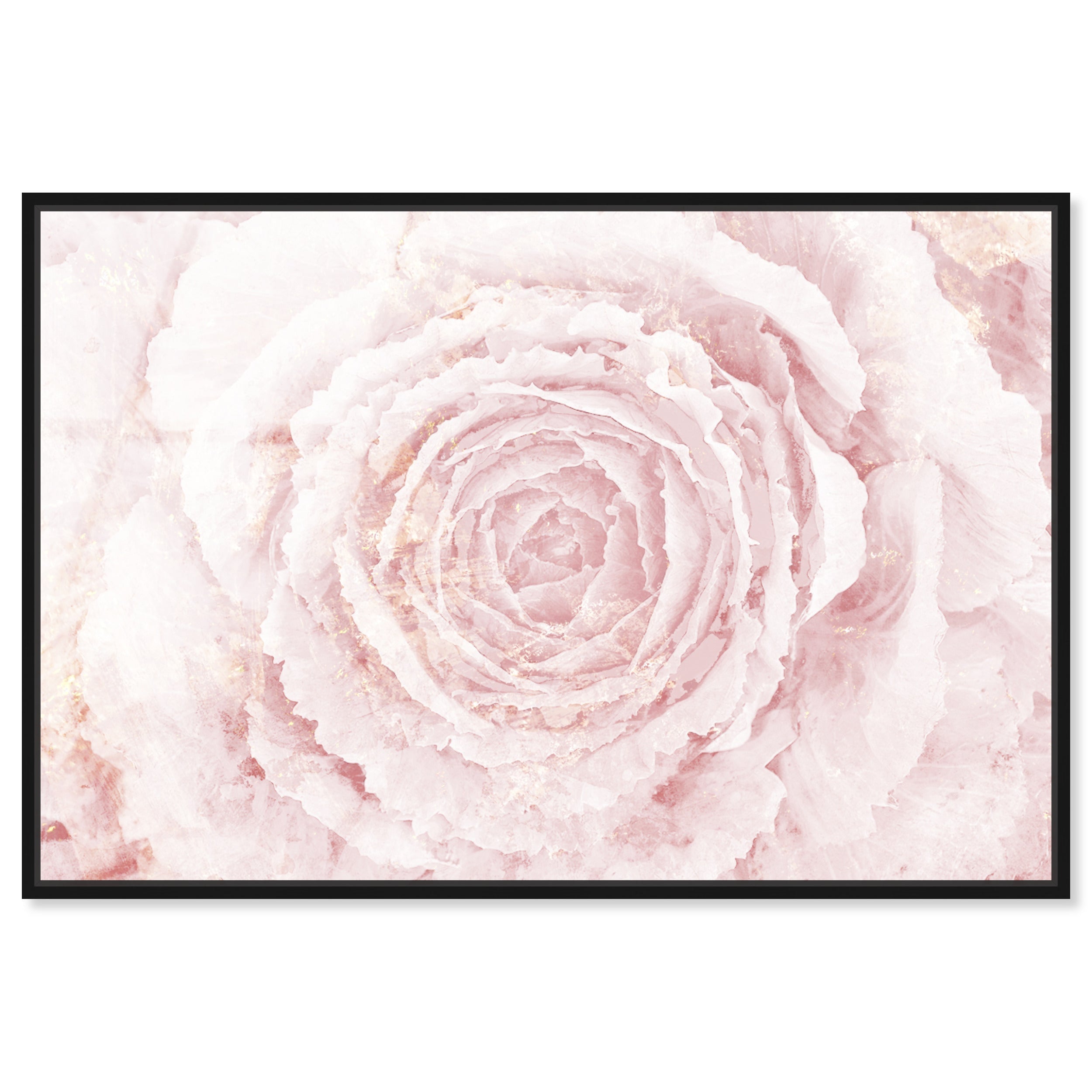 Blush Winter Flower Pink