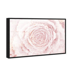 Blush Winter Flower Pink