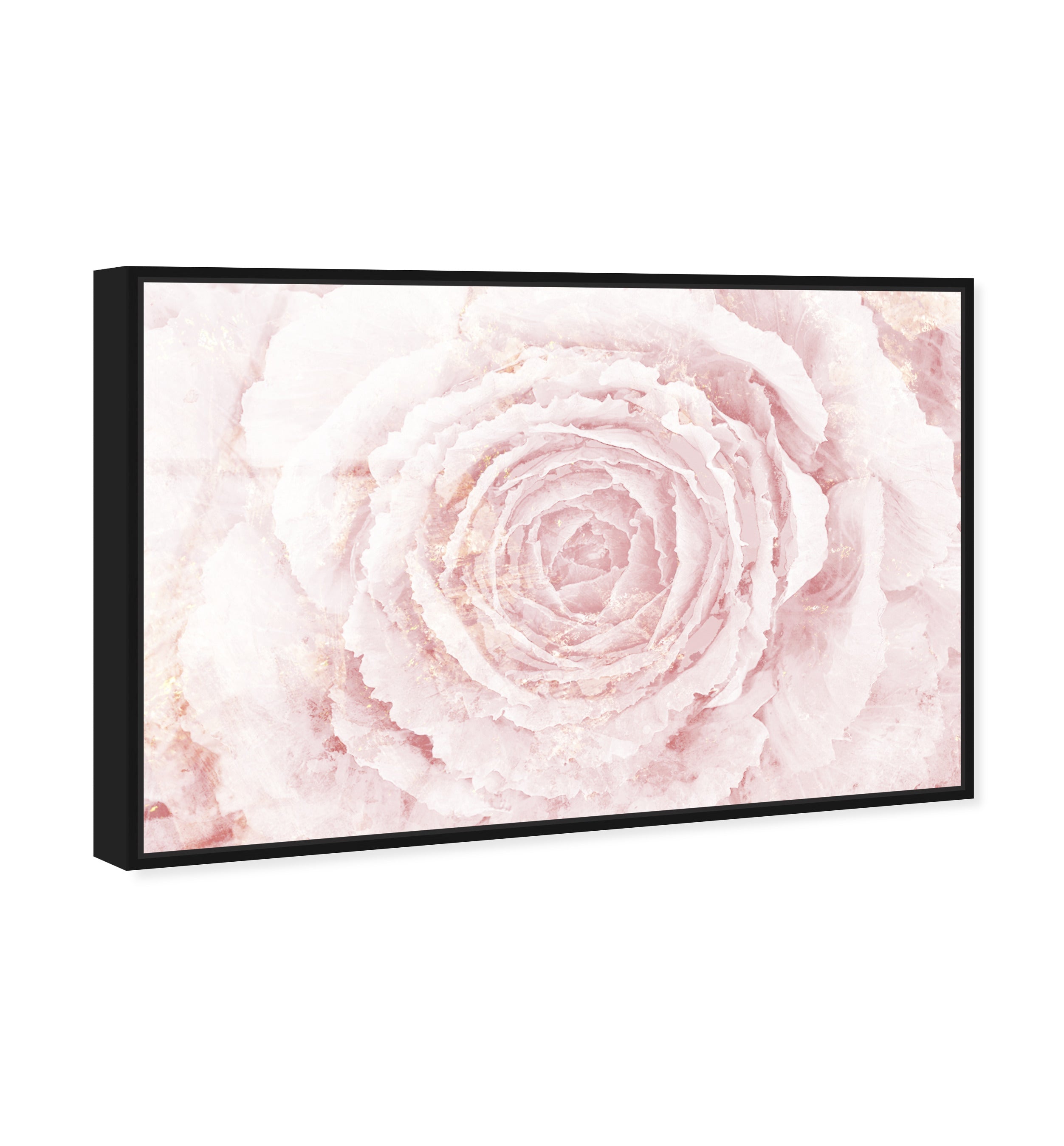 Blush Winter Flower Pink