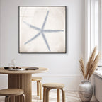 Starfish Grey
