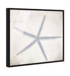 Starfish Grey
