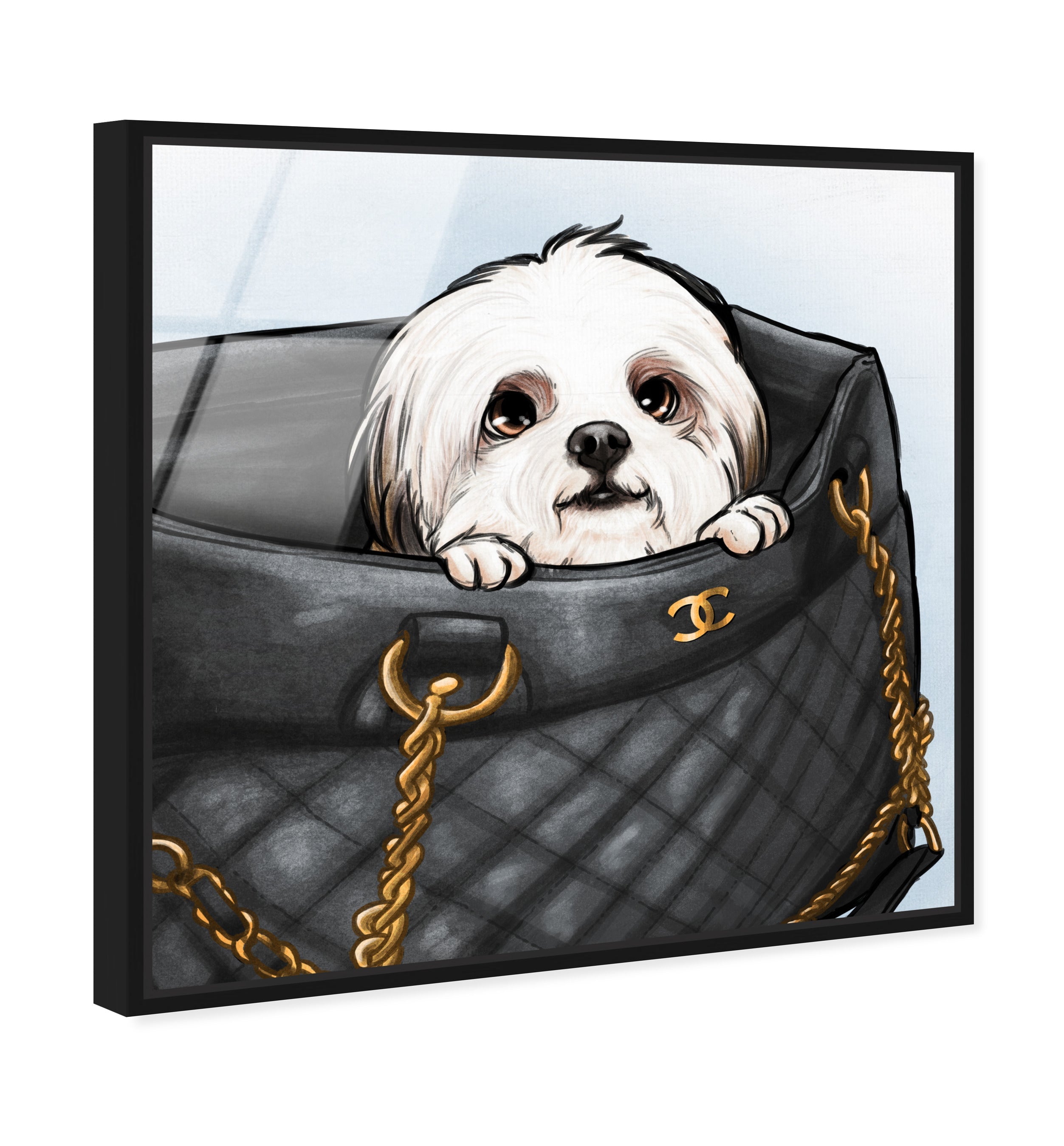 Peek a Boo Shih Tzu