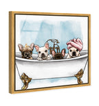 Frenchies In The Tub