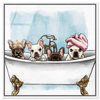 Frenchies In The Tub