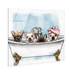 Frenchies In The Tub