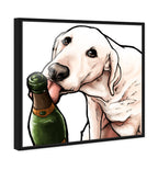 Lab and Bubbly