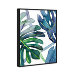 Ferns