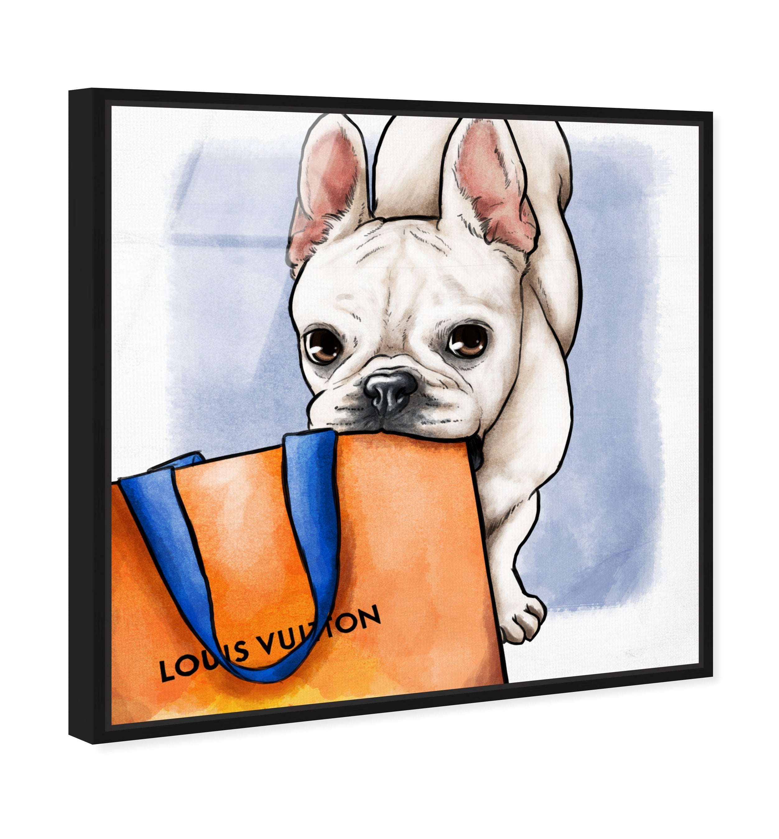 Shop Ready Frenchie