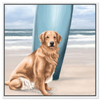 Surfer Golden Retriever
