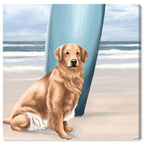 Surfer Golden Retriever