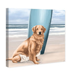 Surfer Golden Retriever