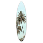 Tropic Currency | Surfboard Gallery Wall