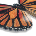 Butterfly Effect