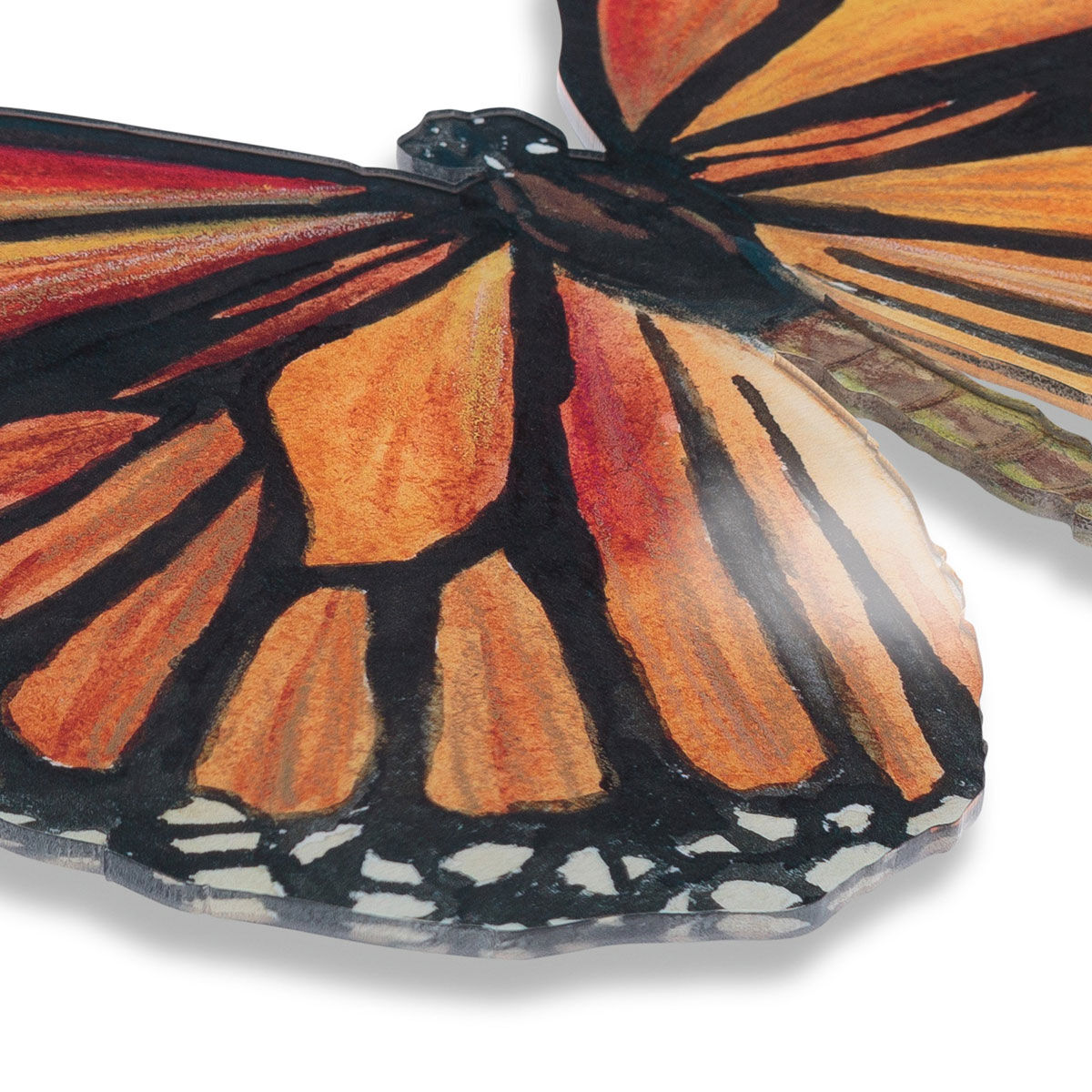 Butterfly Effect
