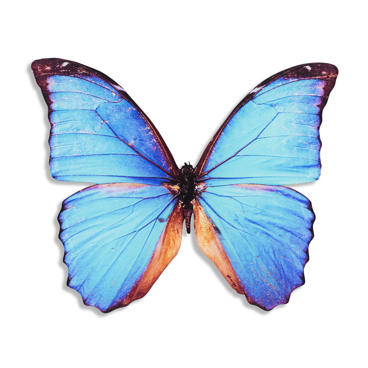 Butterfly Cyan DieCut Main image