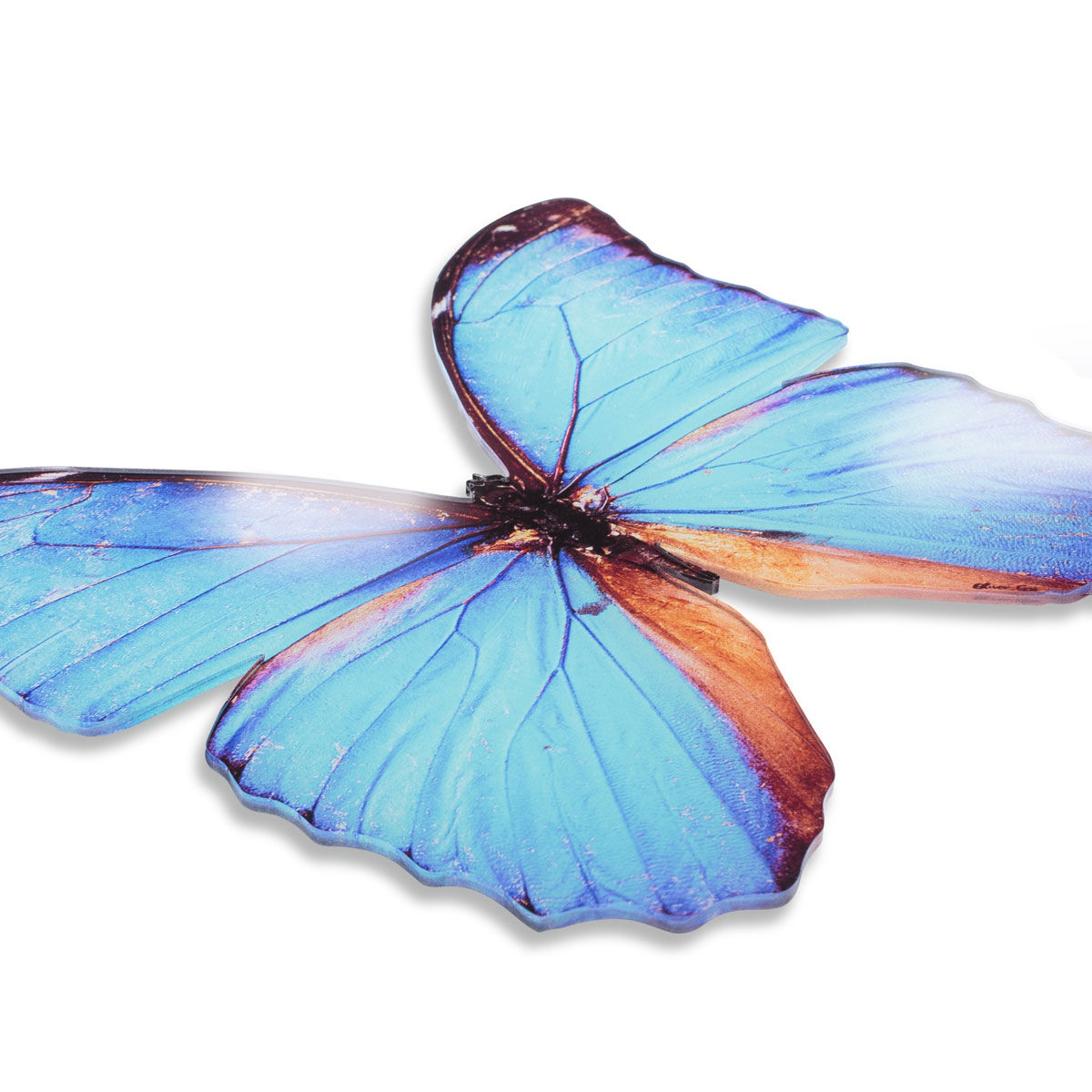 Butterfly Cyan DieCut Secondary image